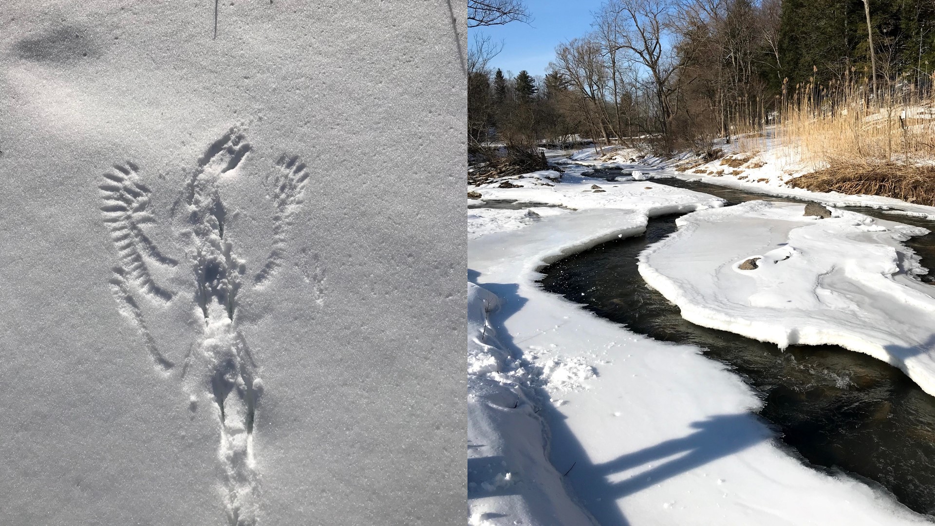 Winter at The Farm